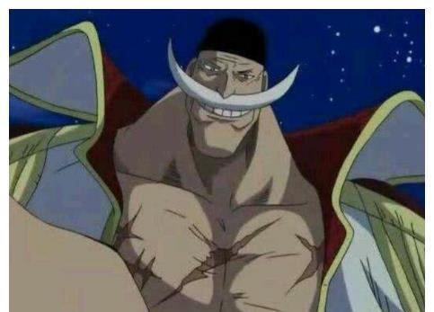 白胡子爆料动画视频,动画视频中的惊人爆料大揭秘